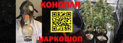 PSILOCYBIN Усть-Джегута