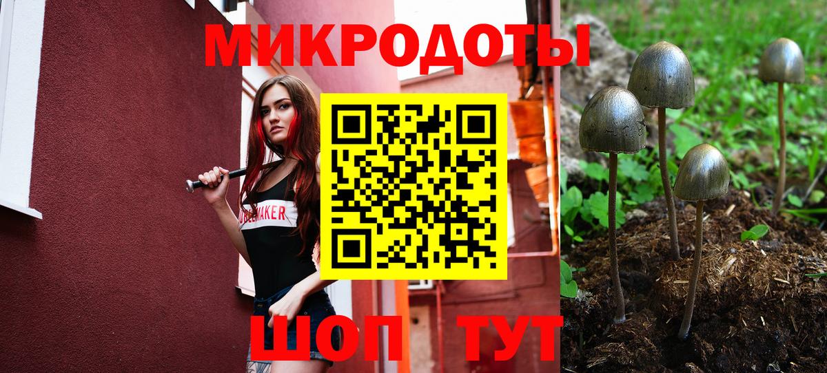 Галлюциногенные грибы мицелий  Псилоцибиновые грибы Psilocybine cubensis  Канаш  Вход с VPN 