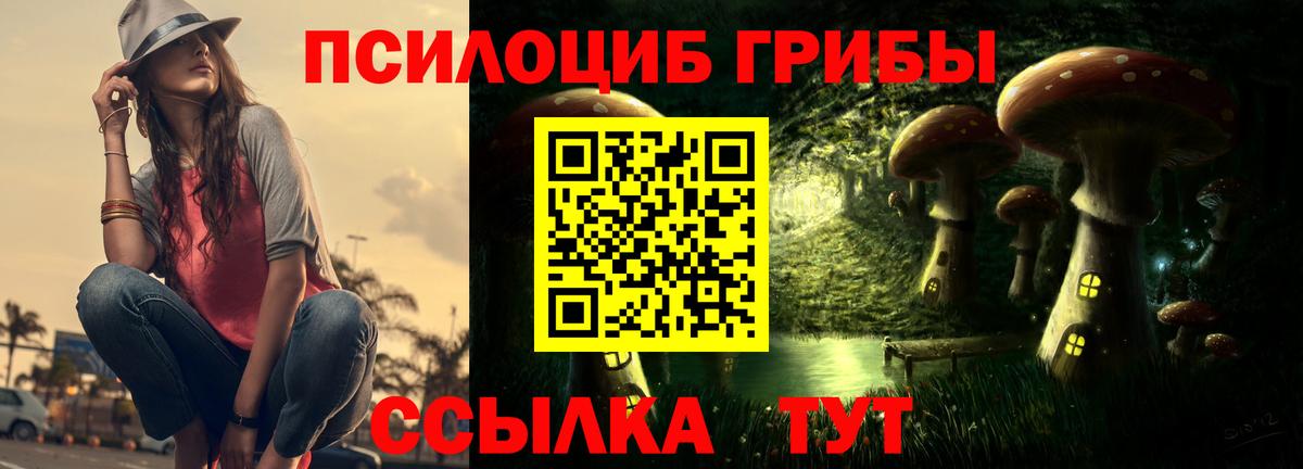 Галлюциногенные грибы GOLDEN TEACHER Канаш